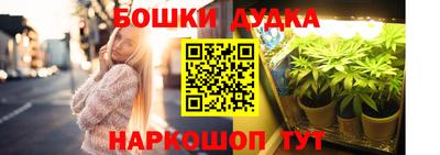МДПВ Обь