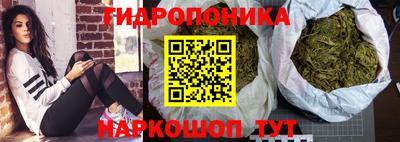 МДПВ Обь