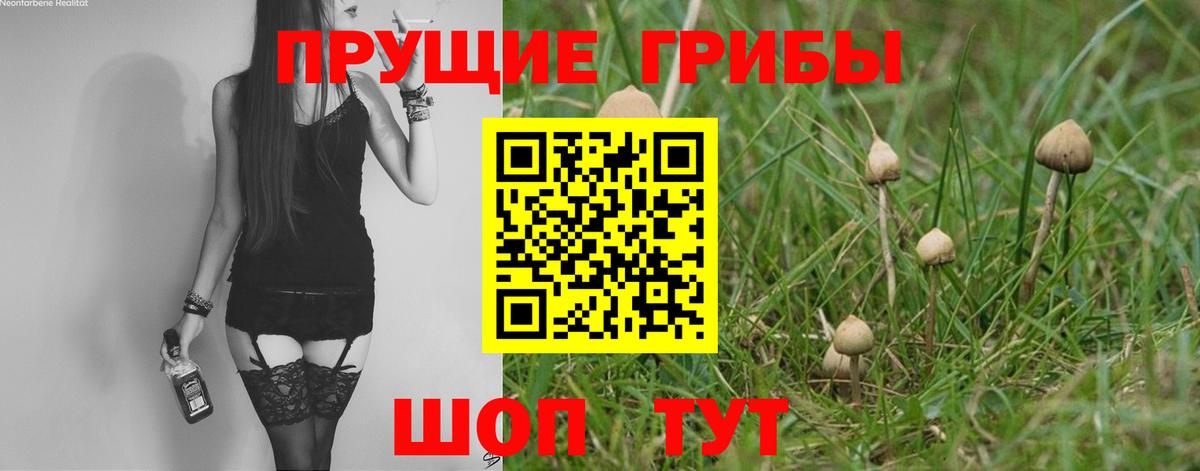 Псилоцибиновые грибы Magic Shrooms  Вход с VPN  Стрежевой 